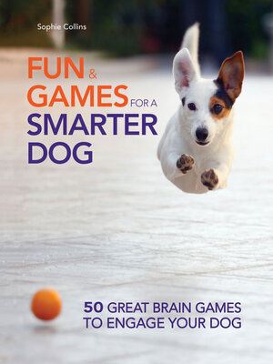 Fun and Games for a Smarter Dog - ebook